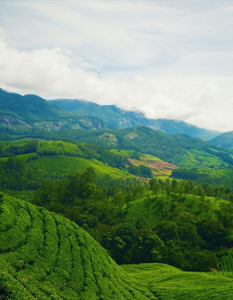 Budget Friendly Munnar Group Trip With Paper Boat Journey - Best Travel Agency in Kerala