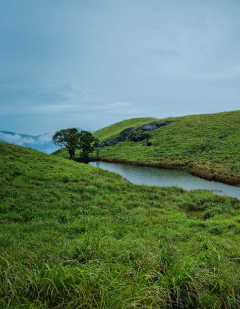 Affordable Wayanad Group Trip With Paper Boat Journey - Your Best Travel Partner in Kerala